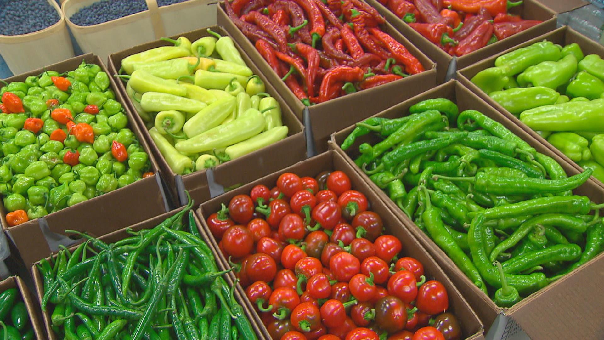 securite alimentaire