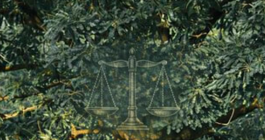 arbre a palable 20262
